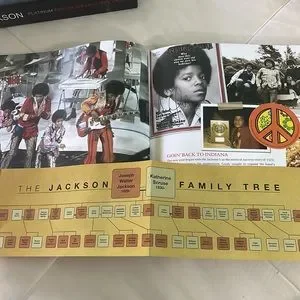 洋楽 MICHAEL JACKSON PLATINUM COLLECTOR VAULT Michael Jackson Vault : A Tribute to the King of Pop 1958